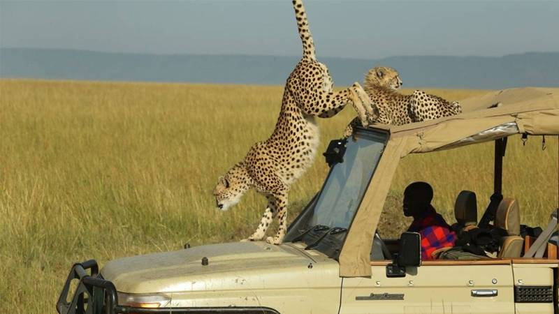 Is Kenya Safe to Visit? A Quick Overview