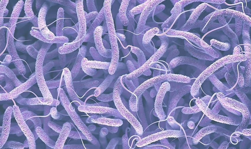 Cholera