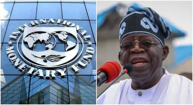 IMF and Tinubu