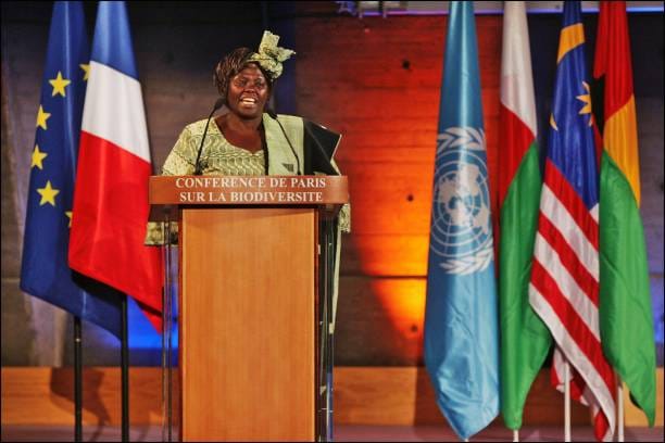 From Kenyan Soil to Global Impact: The Untold Story of Wangari Maathai 3 Maathai