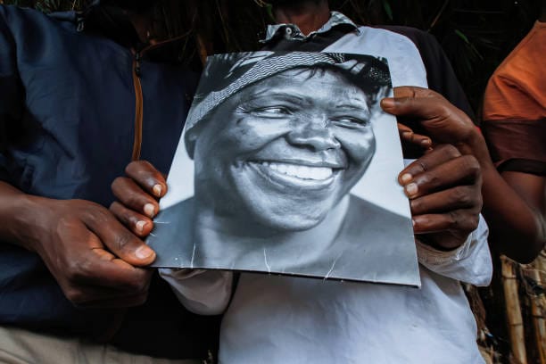 From Kenyan Soil to Global Impact: The Untold Story of Wangari Maathai 4 Maathai