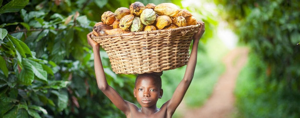 cocoa heropic 1520x600 1