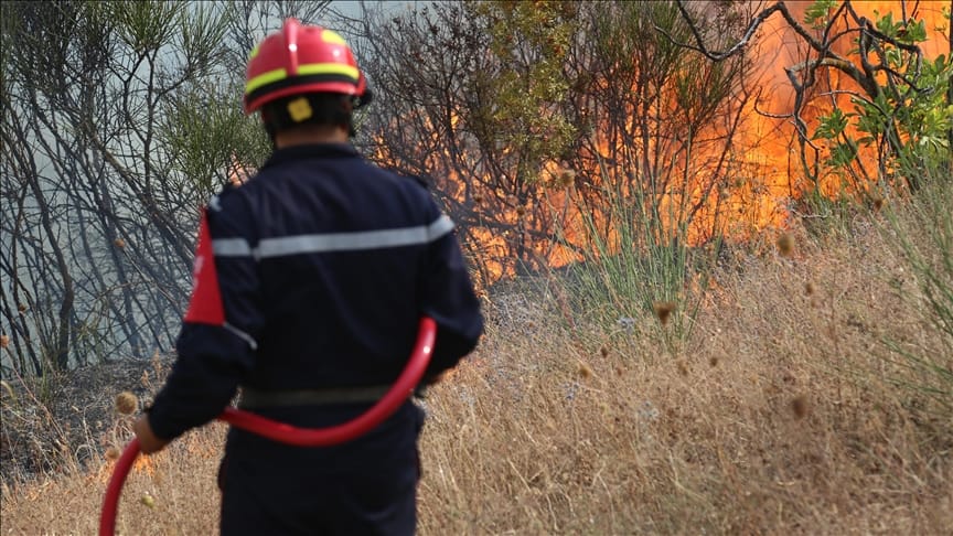 Algeria records over 22 forest fires across 8 provinces IMG 3276